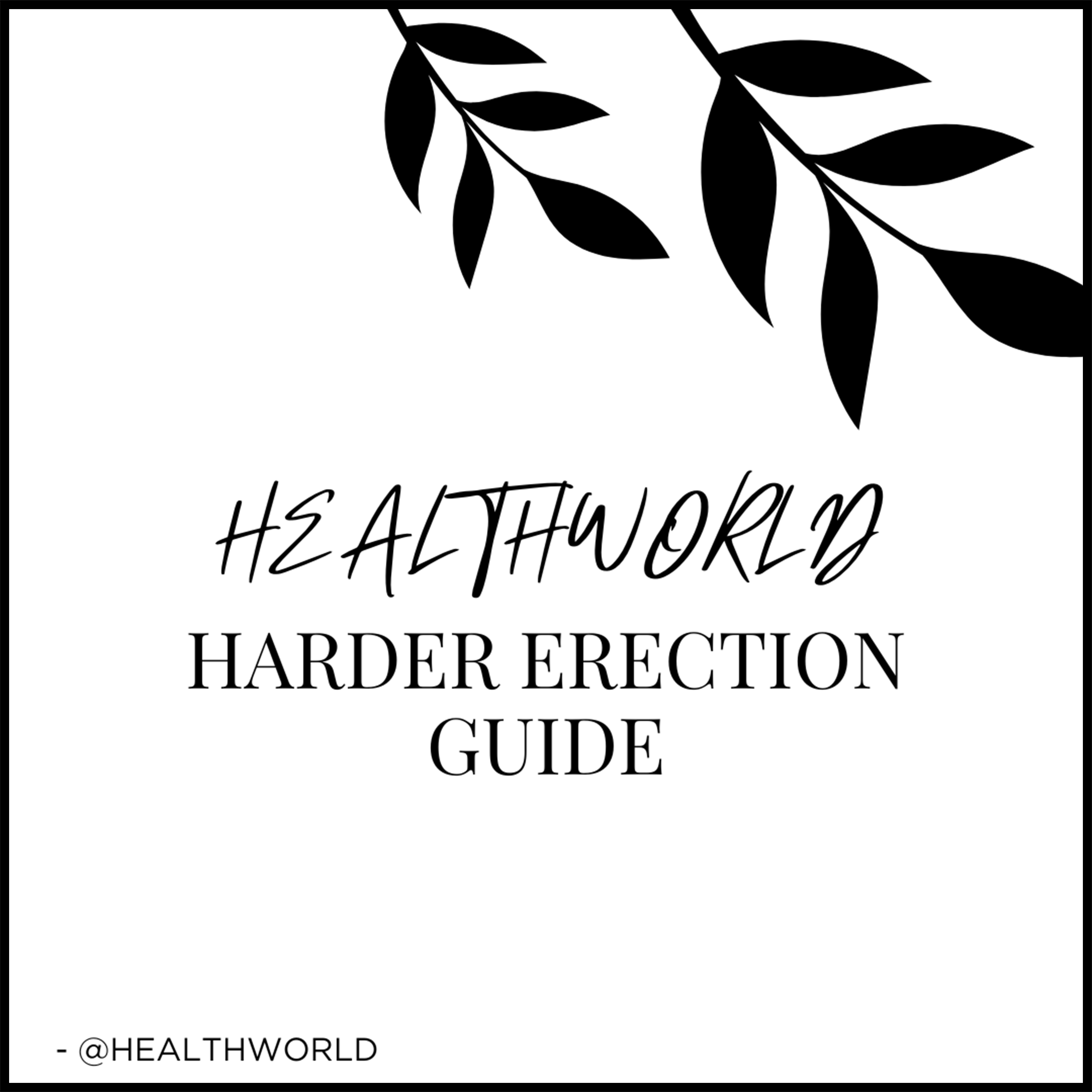 HARDER ERECTION GUIDE